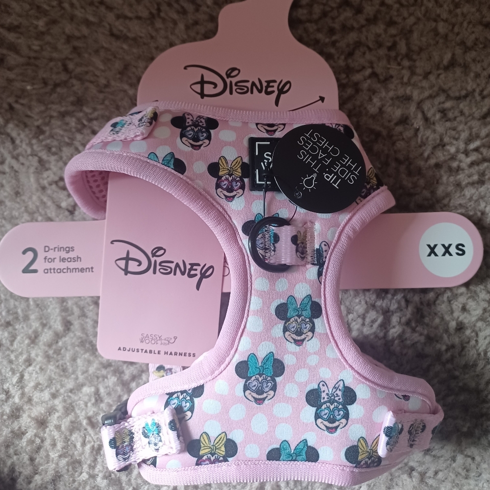 Disney Dog Harness XXS